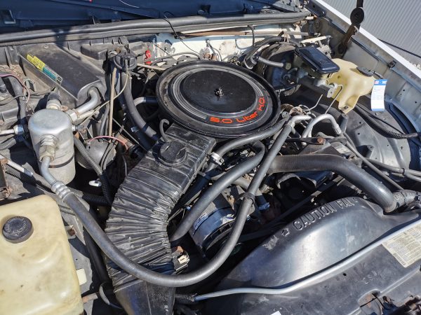 Chevrolet Monte Carlo SS „Nascar Edition“ – Bild 6