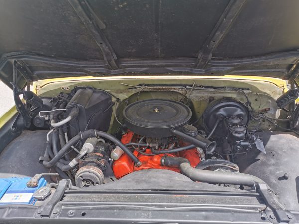 Chevrolet C20 Truck Pick up MoonEyes – Bild 7